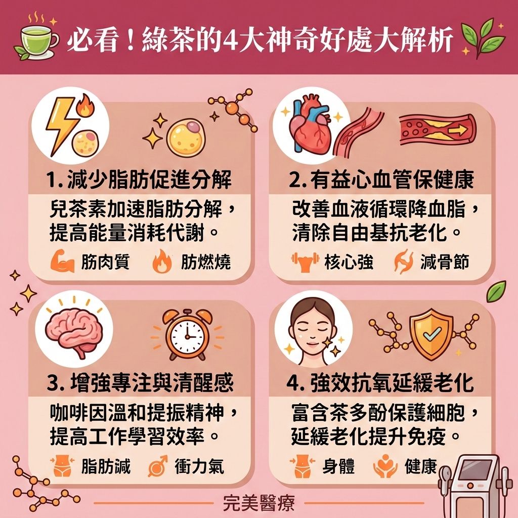 這是一張台灣健康部落格風格的資訊圖表,介紹綠茶的好處。搭配輕斷食與調整飲食結構,例如減少碳水攝取(控制碳水化合物)與補充優質蛋白質(攝取優質蛋白質),綠茶能成為減脂增肌飲食的絕佳飲品。綠茶有助穩定血糖與胰島素,調節荷爾蒙。它能提升基礎代謝與整體的基礎代謝率,加速新陳代謝,延長燃脂時間以消耗更多卡路里。
飲用綠茶並補充膳食纖維能促進腸胃蠕動,維持腸胃健康。配合有氧運動(破解空腹運動迷思),能保護肌肉量,進而燃燒深層脂肪,破壞深層脂肪細胞,代謝多餘脂肪。這不僅是有效的減大肚腩方法,能改善中央肥胖,減少頑固的內臟脂肪與皮下脂肪,更能幫助你突破減肥停滯期(克服停滯期),消除頑固脂肪。
持續飲用能降低體脂比例,控制熱量攝取,輕鬆打造易瘦體質並預防脂肪積聚。若追求更極致的塑造緊緻線條,現代醫學美容是理想輔助。香港完美醫療提供專業的局部減脂療程。透過高科技儀器進行精準的醫美定位修形,能安全高效地為您重塑完美體態!