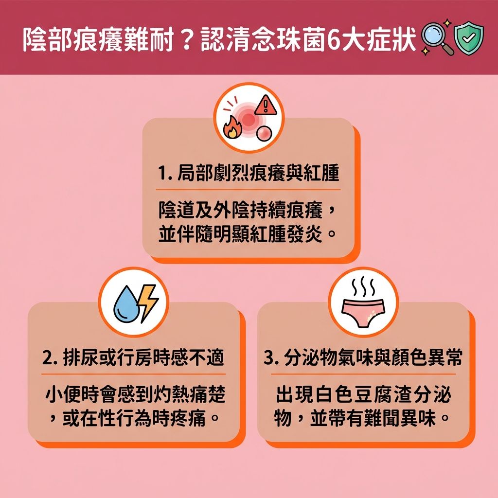 這是一張1:1正方形的台灣健康部落格風格資訊圖表,詳細解說【私密處痕癢成因】與【念珠菌感染症狀】。當女性面臨【荷爾蒙失調】、步入【更年期】導致【卵巢】功能衰退與【雌激素】下降,或者日常習慣不佳時,會破壞【陰道】內的【乳酸桿菌】與整體【微生態】平衡。這不僅會改變原有的【酸鹼度】,更容易引發【念珠菌】或【滴蟲】大量繁殖而造成的【陰道炎】。
感染後,常見症狀包括【陰道紅腫痛楚】、【豆腐渣分泌物】(異常的【白帶】與【分泌物】),甚至引發【性行為疼痛】。為【預防陰道感染】與【消除私密處異味】,日常應【維持私密處酸鹼值】、【穿著透氣內褲】(如純棉【內褲】)、【減少使用護墊】(避免長期悶熱墊著【護墊】),並【增強身體免疫力】。
若因【荷爾蒙】變化導致【黏膜】變薄,需要【改善陰道乾澀】與【緩解私處乾癢】,可適當使用【潤滑劑】。針對老化或產後造成的【骨盆底肌】無力,醫美界推薦專業的【私密處保養療程】與【陰道鬆弛治療】。透過【激光】或【射頻】等【無創私密處緊緻】技術,能【促進局部血液循環】、【刺激膠原蛋白增生】(喚醒底層【膠原蛋白】),有效【恢復陰道彈性】,全面守護女性健康。