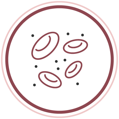 直接減少脂肪細胞